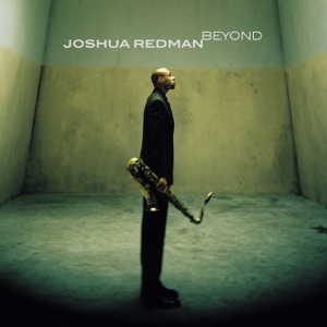Cover of Beyond