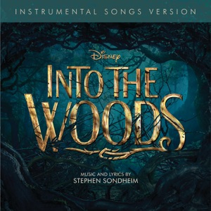 Hoes van Into the Woods