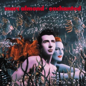 Hoes van Enchanted