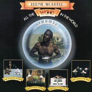 Cover of All the Woo in the World