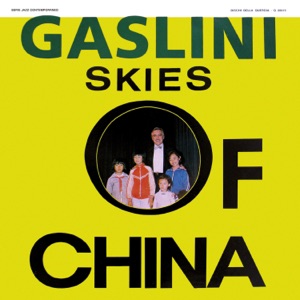 Cover of Skies of China
