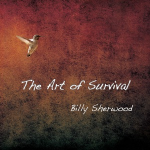 Hoes van The Art of Survival