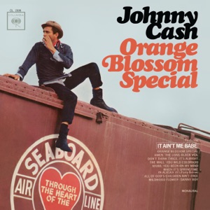 Cover of Orange Blossom Special