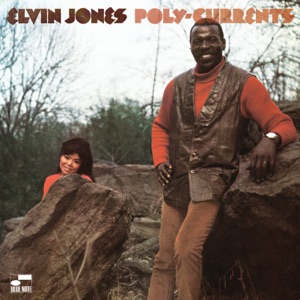 Cover of Poly-Currents