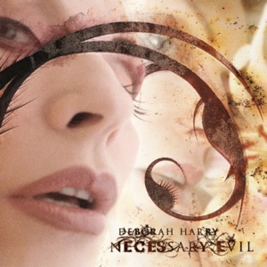Hoes van Necessary Evil