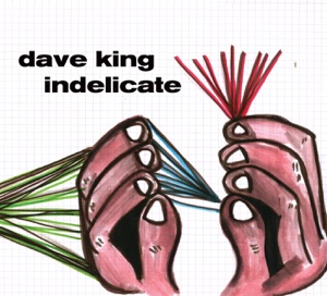 Hoes van Indelicate