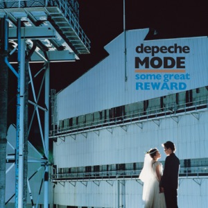 Cover of Some Great Reward