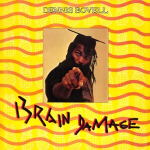 Cover of Brain Damage