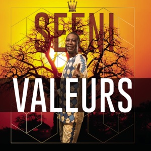 Cover of Seeni Valeurs