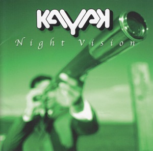 Cover of Night Vision