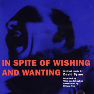 Cover of In Spite of Wishing and Wanting