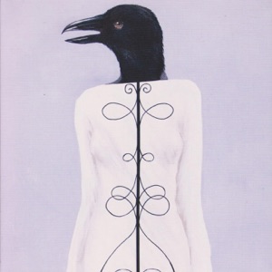 Cover of Krákan