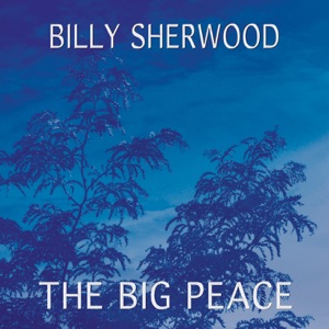 Hoes van The Big Peace