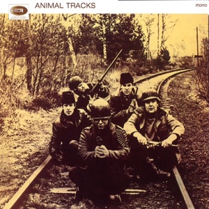 Cover of Animal Tracks