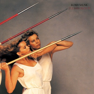 Cover of Flesh + Blood