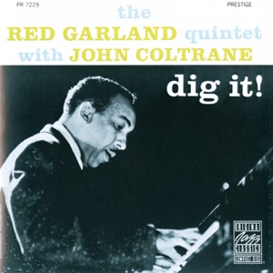 Cover of Dig It!