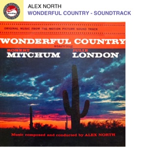 Cover of Wonderful Country