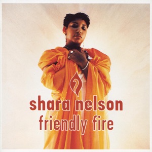 Cover of Friendly Fire