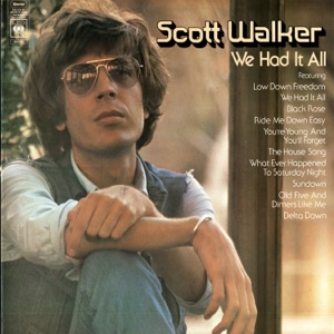 Cover of We Had It All