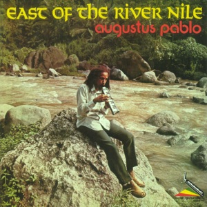 Cover of East of the River Nile