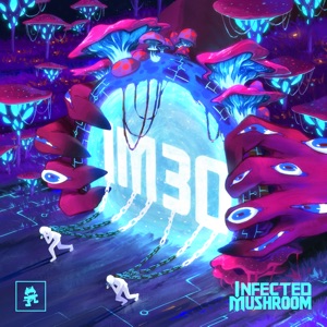 Cover of IM30