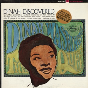 Cover of Dinah Discovered