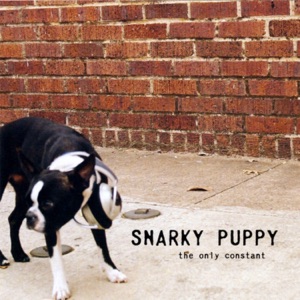 Cover of The Only Constant