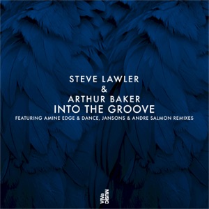 Cover of Into the Groove