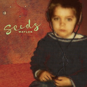 Hoes van Seeds
