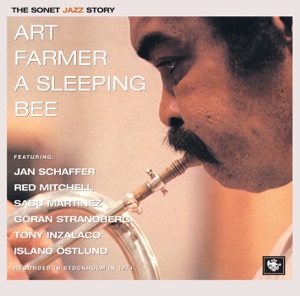 Cover of A Sleeping Bee