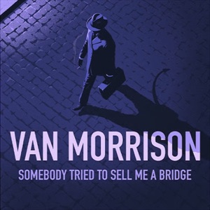Hoes van Somebody Tried to Sell Me a Bridge