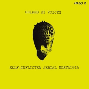 Hoes van Self-Inflicted Aerial Nostalgia