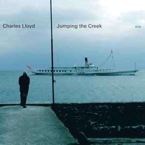 Cover of Jumping the Creek