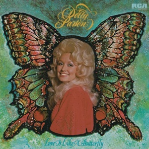 Cover of Love Is Like a Butterfly