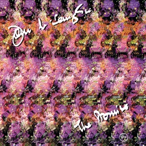 Cover of The Promise