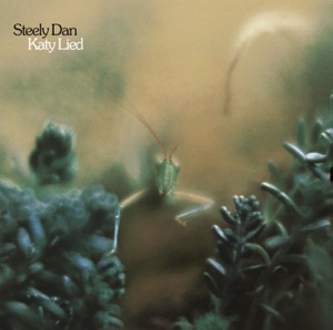 Cover of Katy Lied