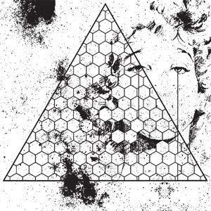 Cover of Betrayed in the Octagon