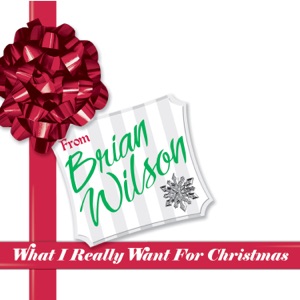 Cover of What I Really Want for Christmas