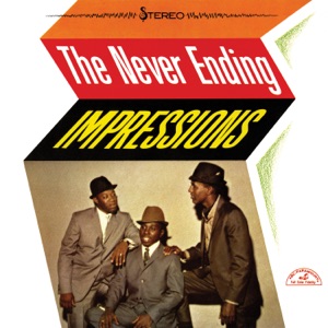 Cover of The Never Ending Impressions