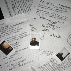 Cover of 17