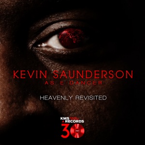 Cover of Heavenly Revisited