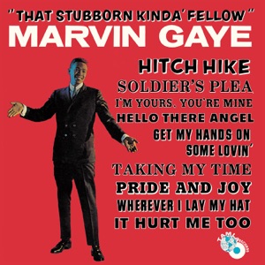 Cover of That Stubborn Kinda’ Fellow
