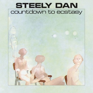 Cover of Countdown to Ecstasy