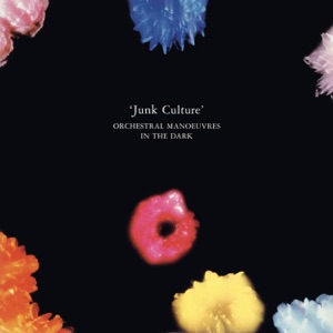 Cover of Junk Culture