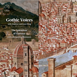Hoes van The Splendour of Florence with a Burgundian Resonance