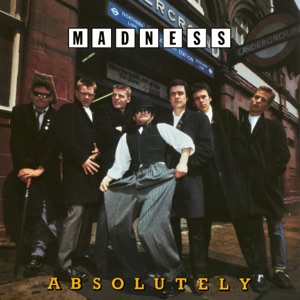Cover of Absolutely