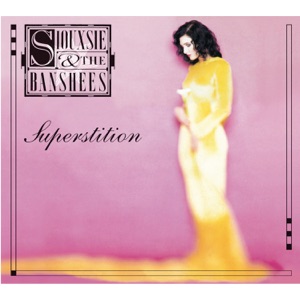 Cover of Superstition