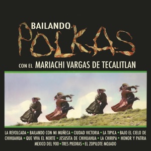 Cover of Bailando Polkas