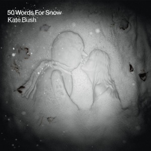 Cover of 50 Words for Snow