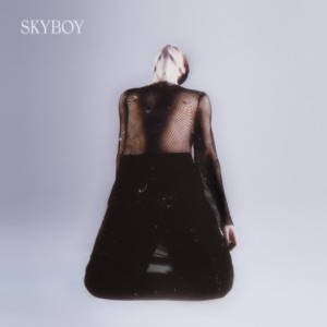 Cover of Skyboy